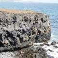 Basatic-lava-flow-meets-the-sea-2